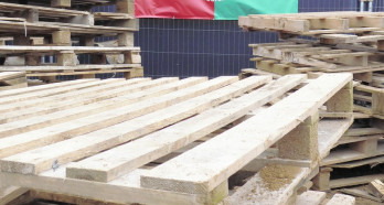 PalletLoop G 240904 N2 medium cropped