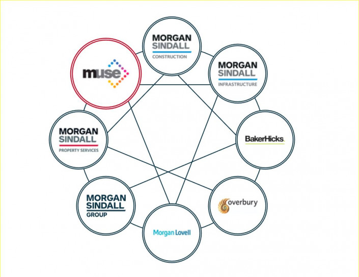 MSG Group x8 spider image