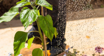 Mental Heath PRess release