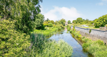 R 200724 CherryPieMeadow N40 medium