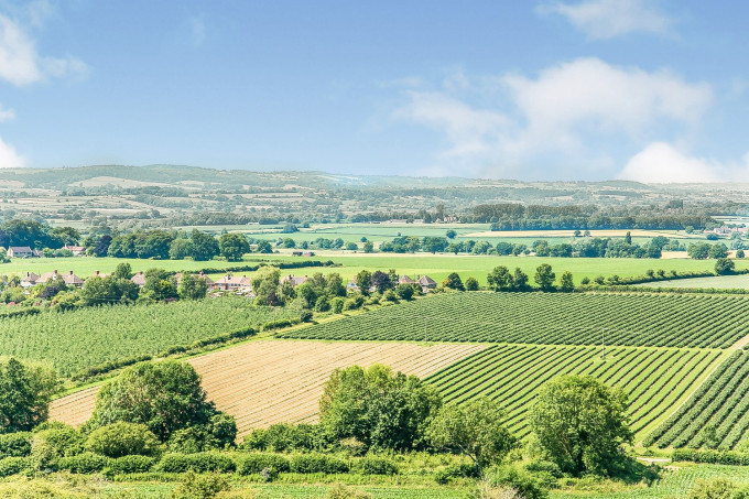 R 200724 CherryPieMeadow N27 medium