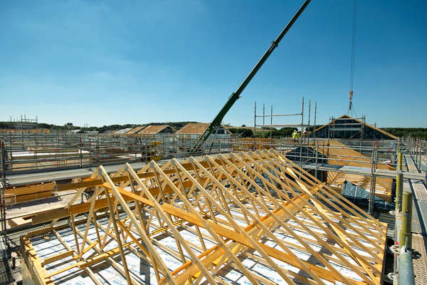 Salisbury Plain N220 webview