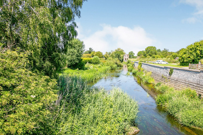 R 200724 CherryPieMeadow N40 medium