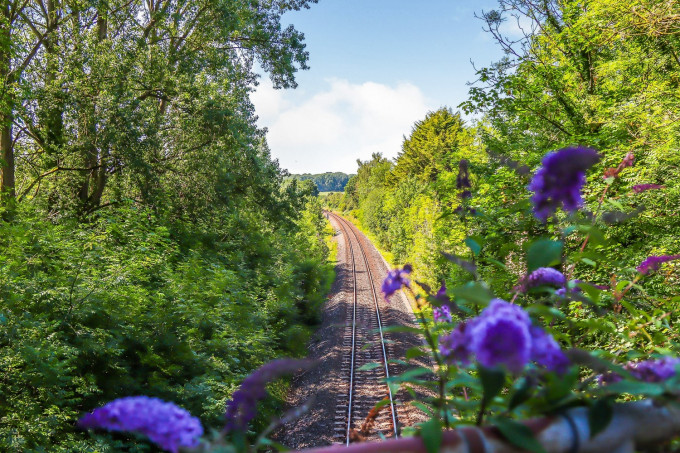 R 200724 CherryPieMeadow N49 medium