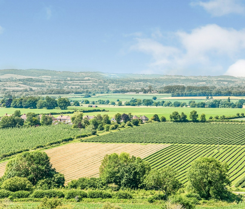 R 200724 CherryPieMeadow N27 medium