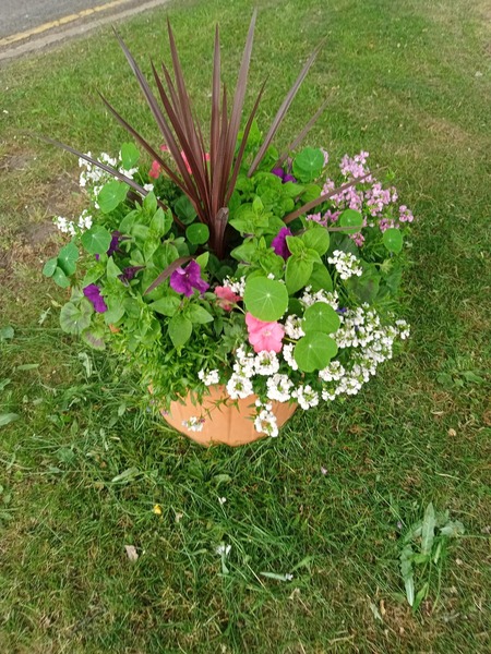 P 230117 Weston Woods Case Study for web webview