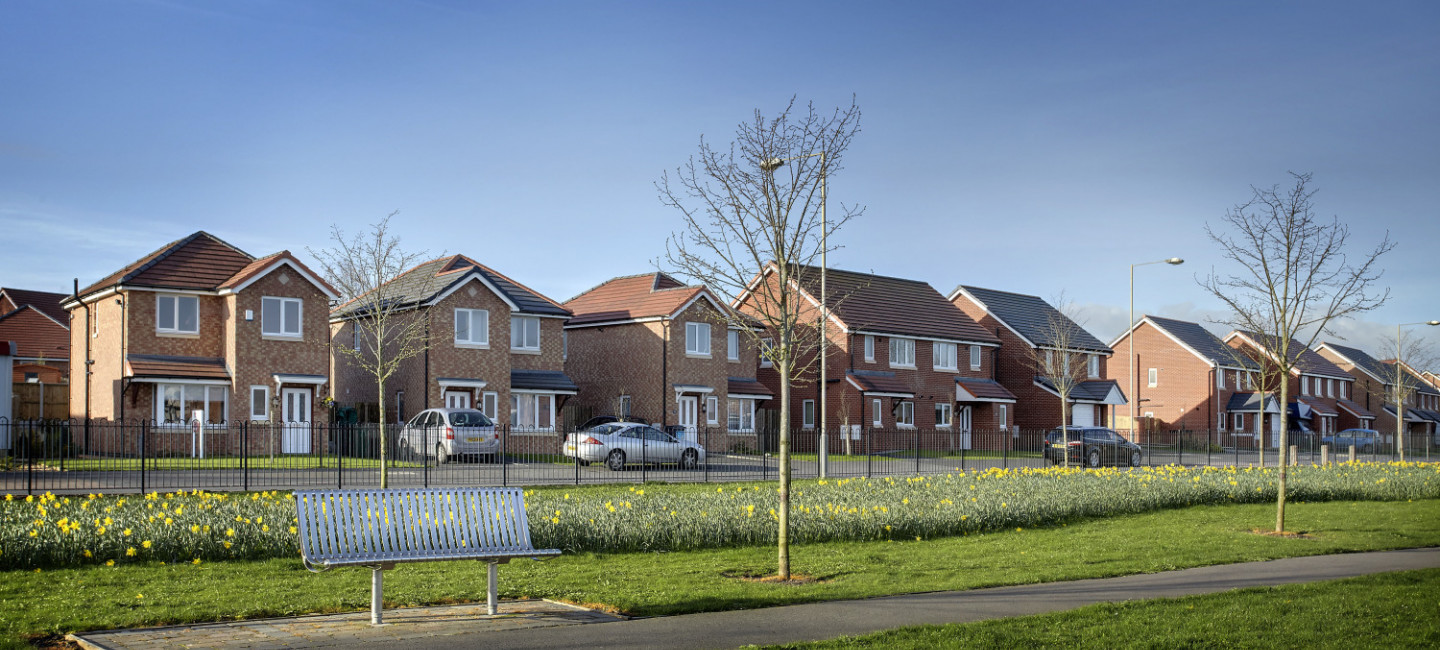 Raffles Estate regeneration, Carlisle